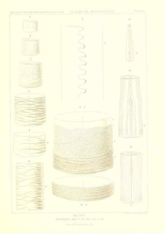 Reproducción/Reproduction 49484749906: Wissenschaftliche Ergebnisse der Deutschen Tiefsee-Expedition auf dem Dampfer ""Valdivia"" 1898-1899.. Jena,G. Fischer,1902-40.. 