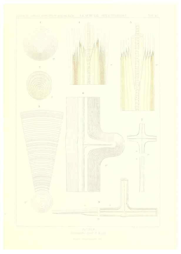Reproducción/Reproduction 49484750321: Wissenschaftliche Ergebnisse der Deutschen Tiefsee-Expedition auf dem Dampfer ""Valdivia"" 1898-1899.. Jena,G. Fischer,1902-40.. 