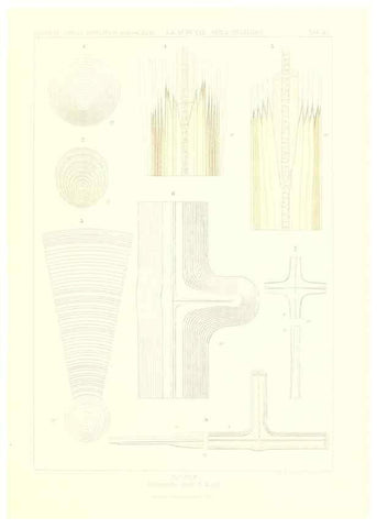 Reproducción/Reproduction 49484750321: Wissenschaftliche Ergebnisse der Deutschen Tiefsee-Expedition auf dem Dampfer ""Valdivia"" 1898-1899.. Jena,G. Fischer,1902-40.. 
