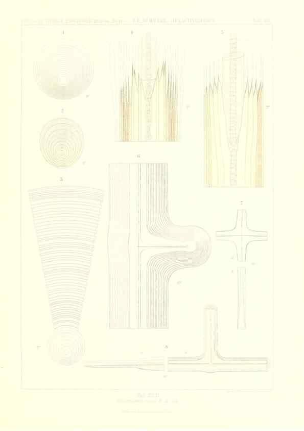 Reproducción/Reproduction 49484750321: Wissenschaftliche Ergebnisse der Deutschen Tiefsee-Expedition auf dem Dampfer ""Valdivia"" 1898-1899.. Jena,G. Fischer,1902-40.. 