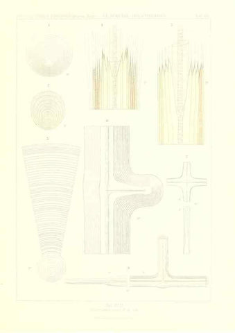 Reproducción/Reproduction 49484750321: Wissenschaftliche Ergebnisse der Deutschen Tiefsee-Expedition auf dem Dampfer ""Valdivia"" 1898-1899.. Jena,G. Fischer,1902-40.. 
