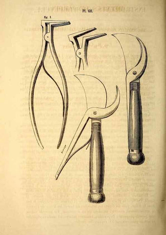 Reproducción/Reproduction 49268889633: Belgique horticole.. Liége.. 