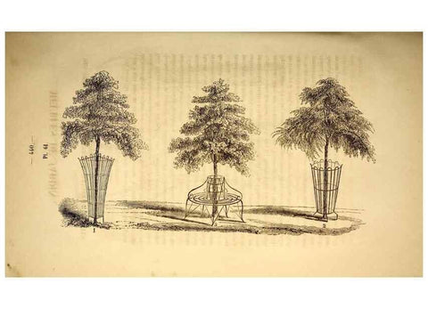 Reproducción/Reproduction 49268889903: Belgique horticole.. Liége.. 