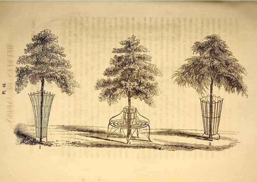 Reproducción/Reproduction 49268889903: Belgique horticole.. Liége.. 
