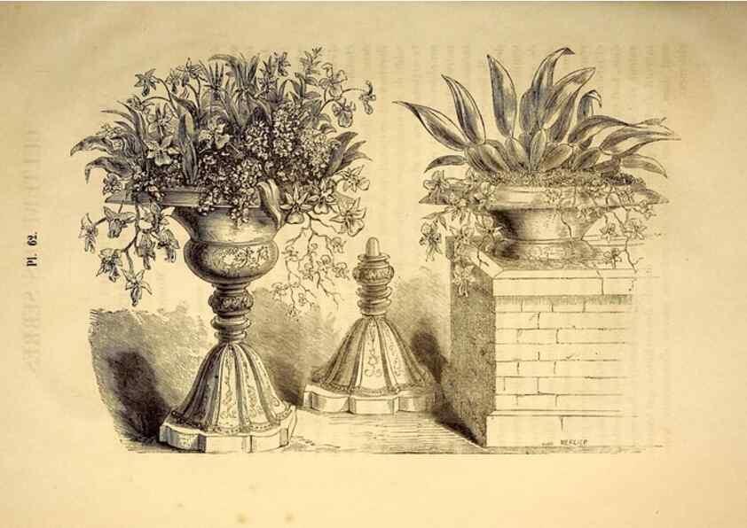 Reproducción/Reproduction 49268890328: Belgique horticole.. Liége.. 