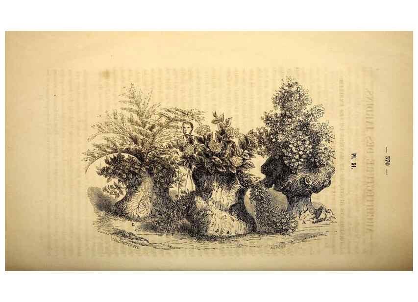 Reproducción/Reproduction 49268887133: Belgique horticole.. Liége.. 