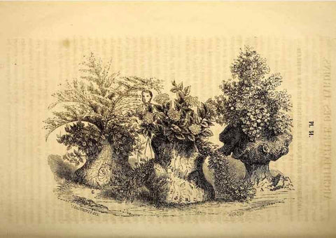 Reproducción/Reproduction 49268887133: Belgique horticole.. Liége.. 