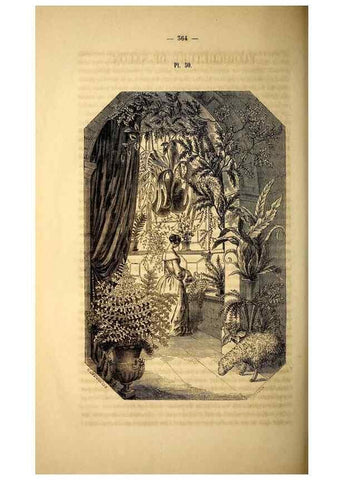 Reproducción/Reproduction 49268886788: Belgique horticole.. Liége.. 