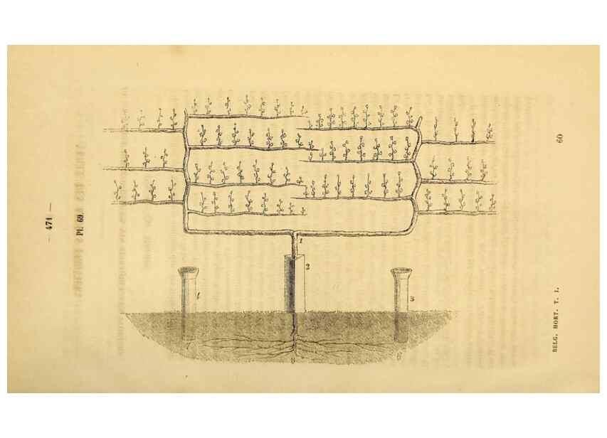 Reproducción/Reproduction 49268891783: Belgique horticole.. Liége.. 