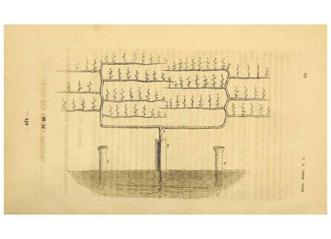 Reproducción/Reproduction 49268891783: Belgique horticole.. Liége.. 