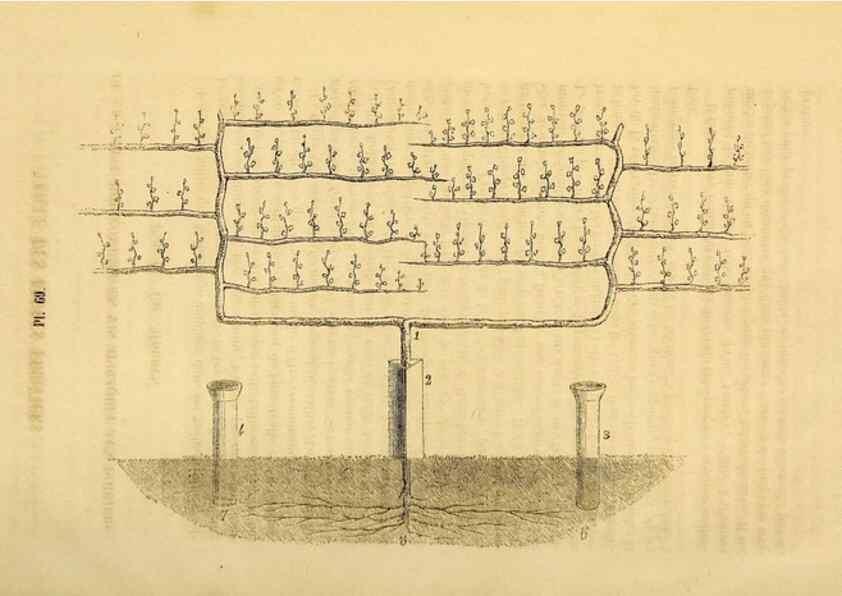 Reproducción/Reproduction 49268891783: Belgique horticole.. Liége.. 