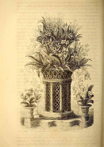 Reproducción/Reproduction 49269344101: Belgique horticole.. Liége.. 
