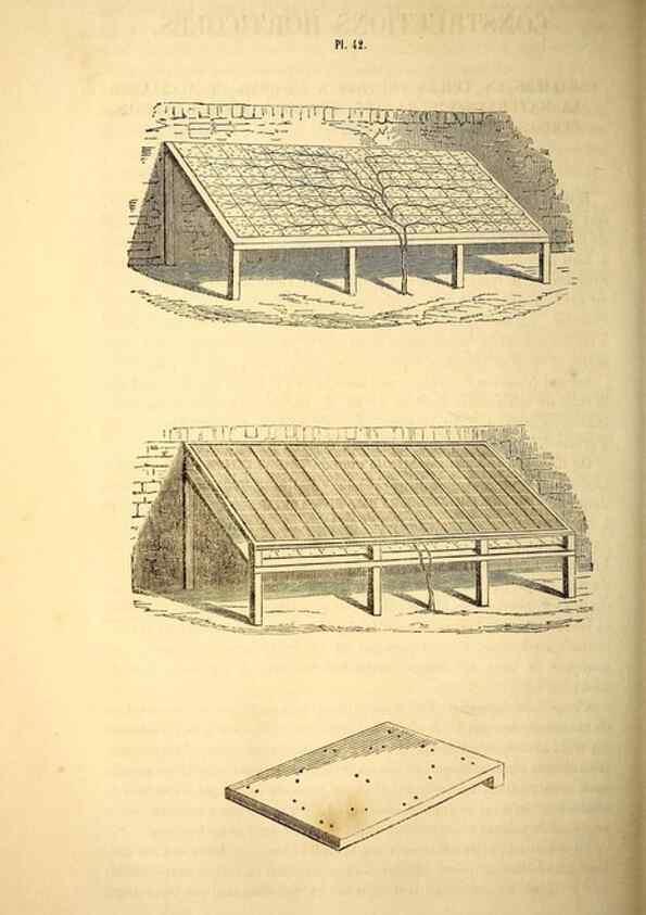 Reproducción/Reproduction 49269544622: Belgique horticole.. Liége.. 