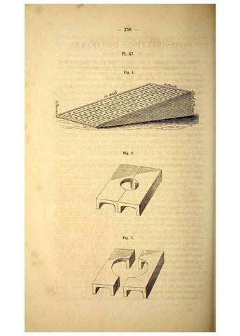 Reproducción/Reproduction 49268885728: Belgique horticole.. Liége.. 