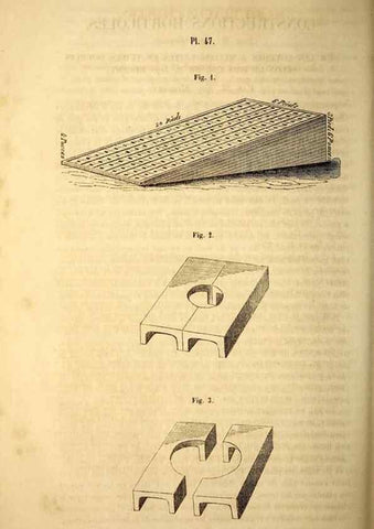 Reproducción/Reproduction 49268885728: Belgique horticole.. Liége.. 