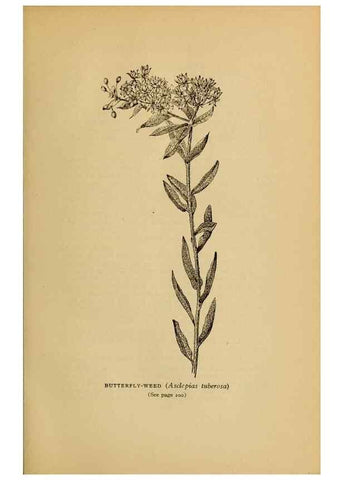 Reproducción/Reproduction 49304196606: Harper's guide to wild flowers,. New York,Harper,1912.. 