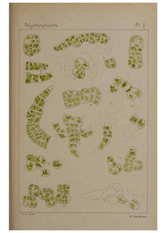 Reproducción/Reproduction 49298418673: Étude critique et expérimentale sur le polymorphisme des algues,. Genève,Georg,1909.. 