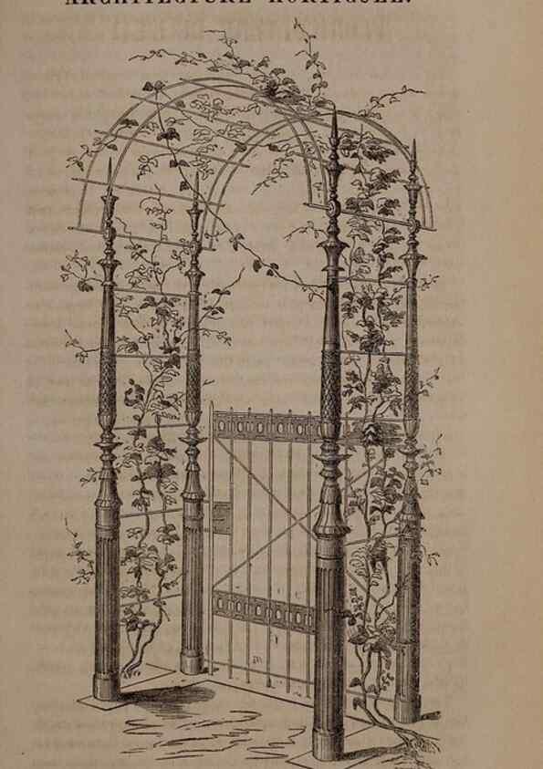 Reproducción/Reproduction 49264953042: Belgique horticole.. Liége.. 