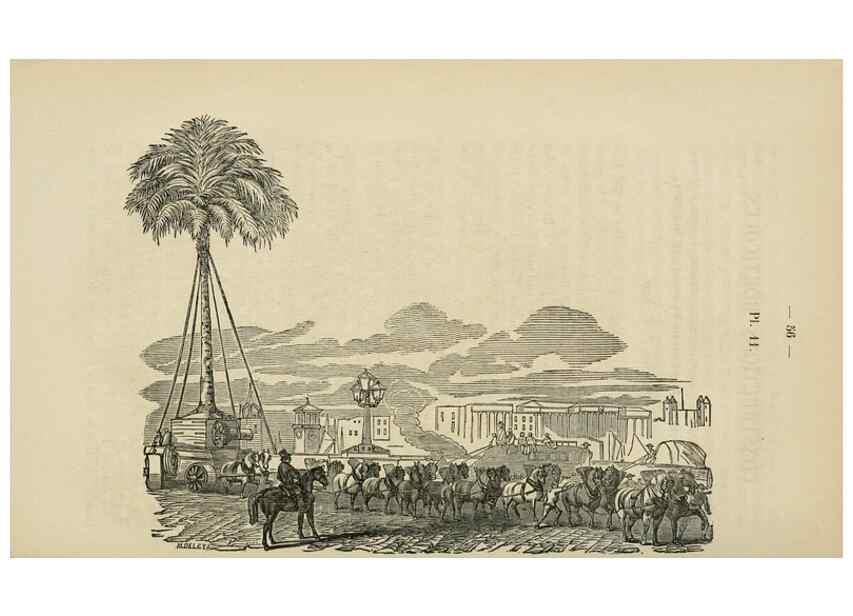 Reproducción/Reproduction 49265269612: Belgique horticole.. Liége.. 