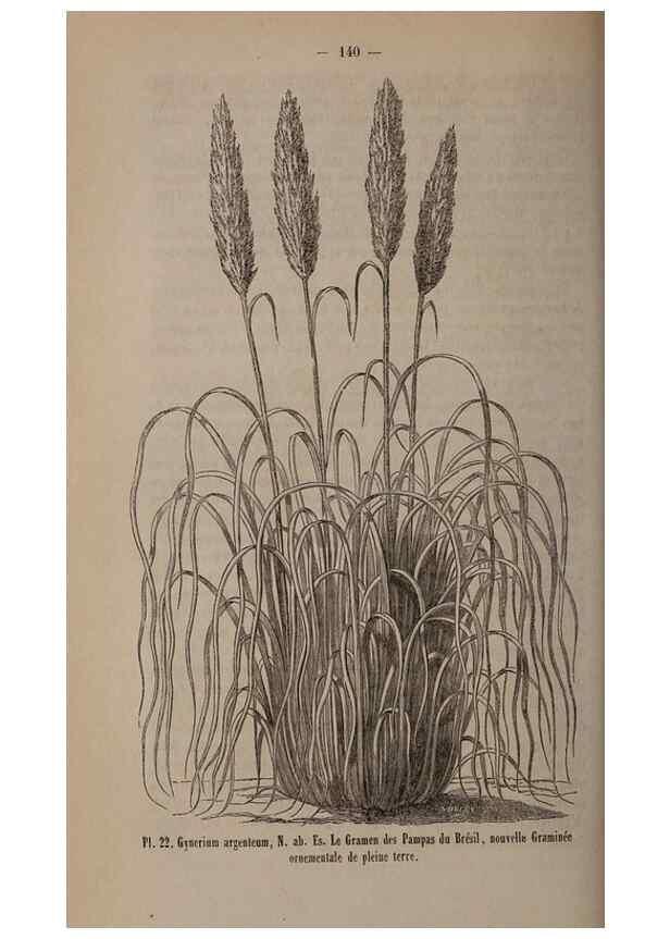 Reproducción/Reproduction 49264289418: Belgique horticole.. Liége.. 