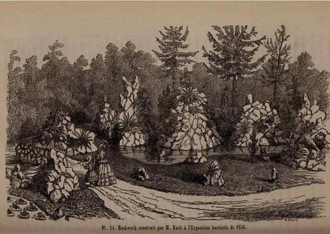 Reproducción/Reproduction 49264291828: Belgique horticole.. Liége.. 