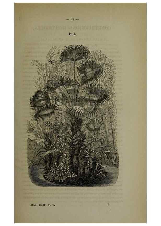 Reproducción/Reproduction 49265143676: Belgique horticole.. Liége.. 