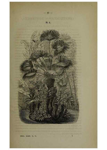 Reproducción/Reproduction 49265143676: Belgique horticole.. Liége.. 