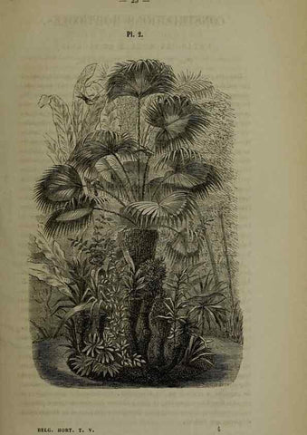 Reproducción/Reproduction 49265143676: Belgique horticole.. Liége.. 