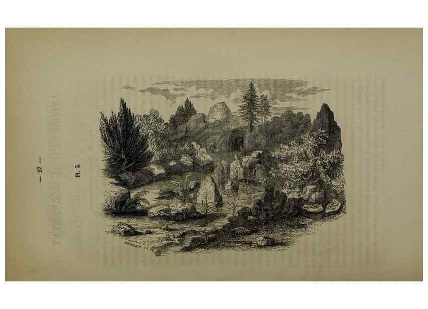 Reproducción/Reproduction 49264680878: Belgique horticole.. Liége.. 
