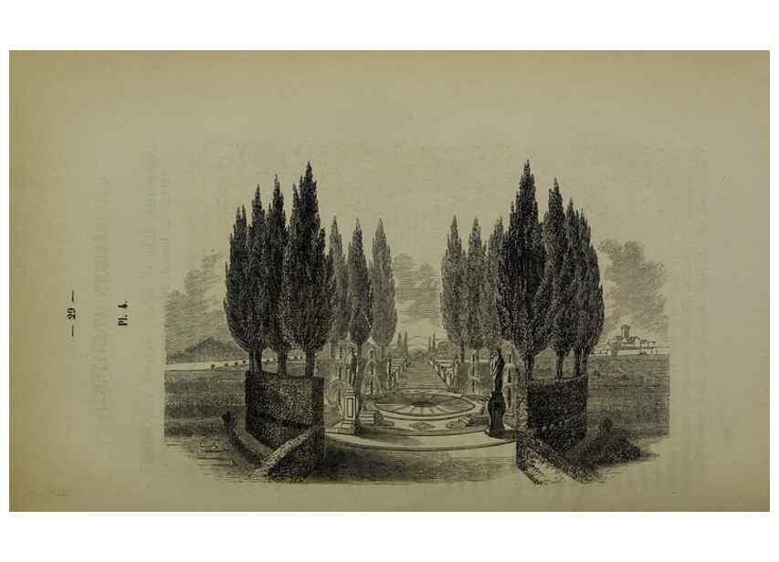 Reproducción/Reproduction 49265337372: Belgique horticole.. Liége.. 