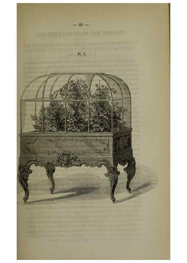Reproducción/Reproduction 49264682383: Belgique horticole.. Liége.. 