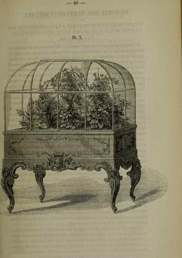 Reproducción/Reproduction 49264682383: Belgique horticole.. Liége.. 