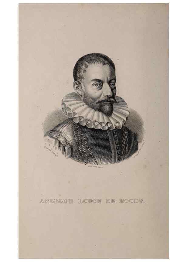 Reproducción/Reproduction 49264747486: Belgique horticole.. Liége.. 
