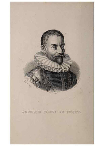 Reproducción/Reproduction 49264747486: Belgique horticole.. Liége.. 
