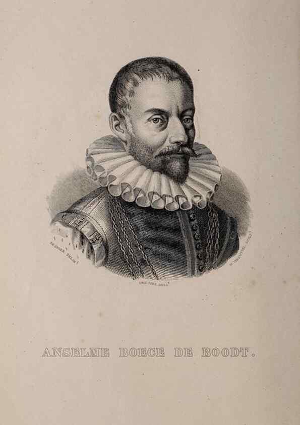 Reproducción/Reproduction 49264747486: Belgique horticole.. Liége.. 