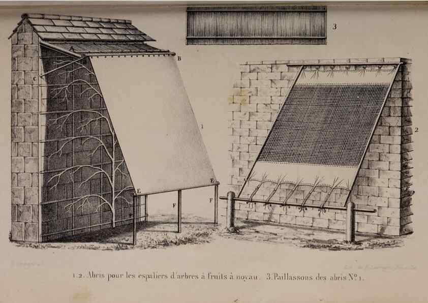 Reproducción/Reproduction 49264943587: Belgique horticole.. Liége.. 