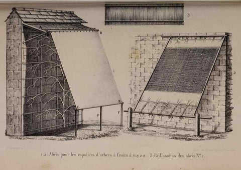 Reproducción/Reproduction 49264943587: Belgique horticole.. Liége.. 