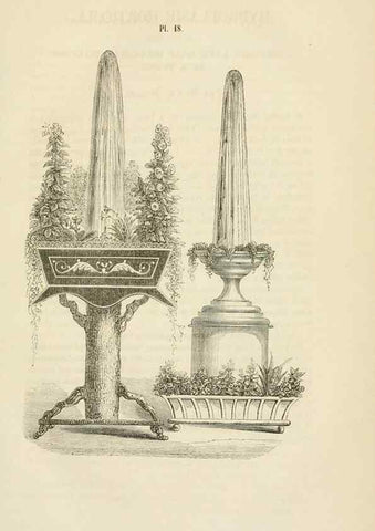 Reproducción/Reproduction 49268981371: Belgique horticole.. Liége.. 