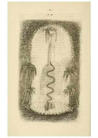 Reproducción/Reproduction 49268979381: Belgique horticole.. Liége.. 