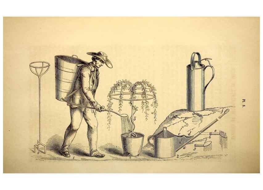 Reproducción/Reproduction 49268873888: Belgique horticole.. Liége.. 