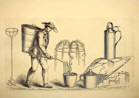 Reproducción/Reproduction 49268873888: Belgique horticole.. Liége.. 