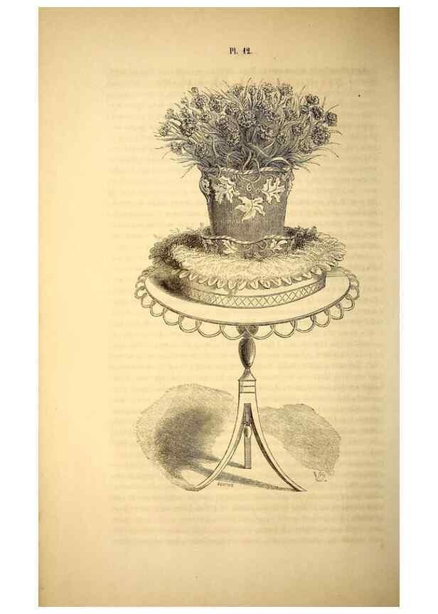 Reproducción/Reproduction 49268875908: Belgique horticole.. Liége.. 