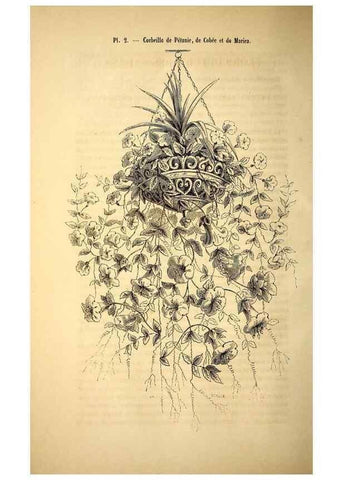 Reproducción/Reproduction 49269332351: Belgique horticole.. Liége.. 
