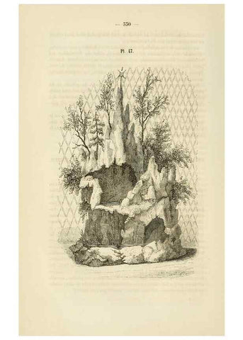 Reproducción/Reproduction 49269189682: Belgique horticole.. Liége.. 
