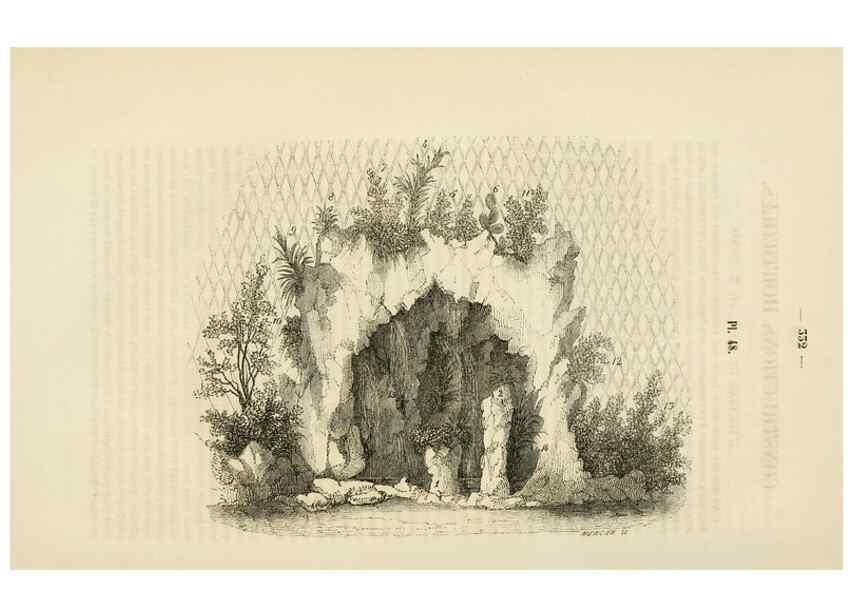 Reproducción/Reproduction 49268532243: Belgique horticole.. Liége.. 