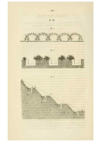 Reproducción/Reproduction 49268991636: Belgique horticole.. Liége.. 