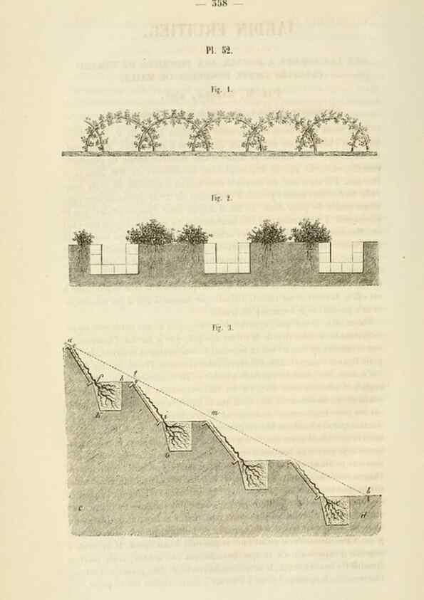 Reproducción/Reproduction 49268991636: Belgique horticole.. Liége.. 