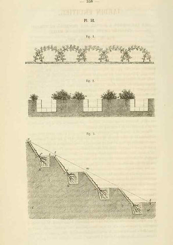 Reproducción/Reproduction 49268991636: Belgique horticole.. Liége.. 