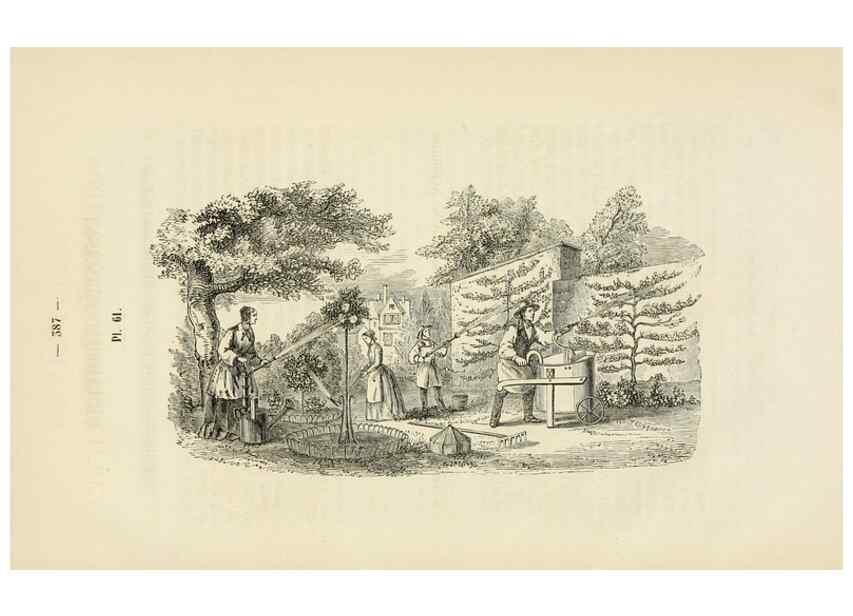 Reproducción/Reproduction 49269193752: Belgique horticole.. Liége.. 
