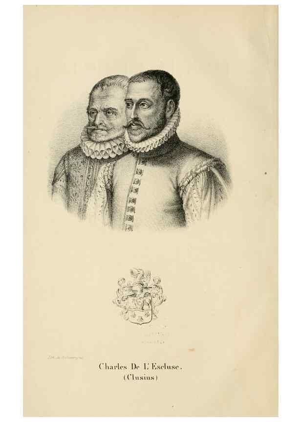 Reproducción/Reproduction 49268517443: Belgique horticole.. Liége.. 
